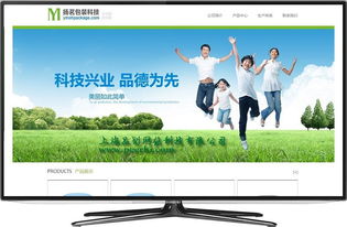 奉賢做網站 奉賢網站制作 奉賢網站建設 奉賢微網站開發