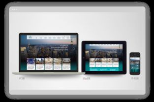 手機(jī)版網(wǎng)站制作 wap網(wǎng)站設(shè)計(jì) 響應(yīng)式網(wǎng)站制作 h5官網(wǎng)制作 盛世陽光