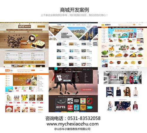 德州商城網(wǎng)站設(shè)計開發(fā) seo策劃案